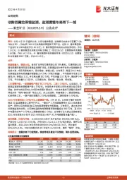 公告点评:收购西藏拉果错盐湖,盐湖提锂布局再下一城