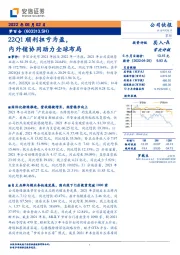 22Q1顺利扭亏为盈，内外销协同助力全球布局