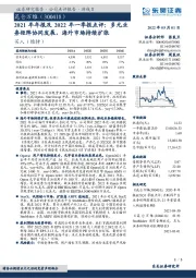 2021年年报及2022年一季报点评:多元业务矩阵协同发展,海外市场持续扩张