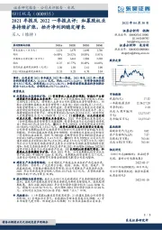 2021年报及2022一季报点评: 私募股权业务持续扩张,抬升净利润稳定增长