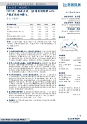 2022年一季报点评：Q1净利润同增44%，产能扩张助力腾飞。