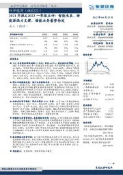 2021年报&2022一季报点评:智能电表、新能源强力支撑,储能业务蓄势待发