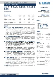 2022年一季报点评:业绩承压,海外业务复苏持续