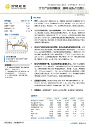 主力产品利润释放,海外业务占比提升