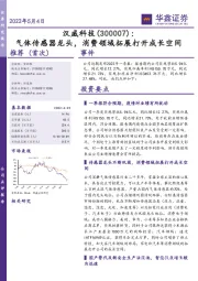 气体传感器龙头,消费领域拓展打开成长空间