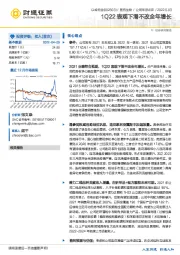 1Q22表观下滑不改全年增长