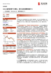 跟踪报告之六:22Q1盈利逆境下正增长,新兴业务规模持续扩大