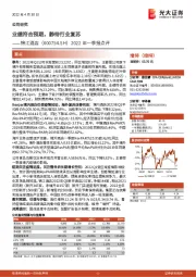 2022年一季报点评:业绩符合预期,静待行业复苏