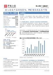 收入易受产品结构影响，PVC催化剂未来可期