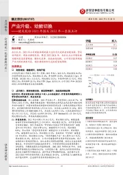 健友股份2021年报及2022年一季报点评：产业升级、动能切换