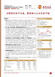 业绩同比扭亏为盈，聚焦核心主业未来可期