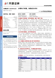 公司信息更新报告：业绩低于预期，短期成本承压