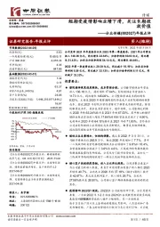 年报点评:短期受疫情影响业绩下滑,关注长期投放价值