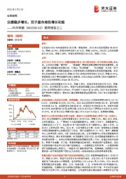 跟踪报告之二:业绩稳步增长,双子星布局拓增长动能