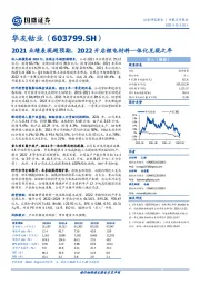 2021业绩表现超预期，2022开启锂电材料一体化兑现之年