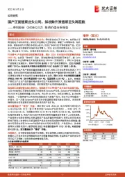 投资价值分析报告:国产正面银浆龙头公司,拟收购外资银浆巨头再起航