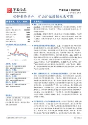 铅锌量价齐升,矿山扩证增储未来可期