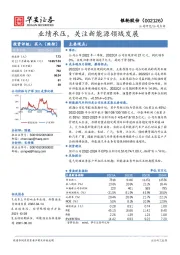 业绩承压，关注新能源领域发展