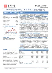 锂业利润弹性释放，布局负极石墨化产能扩建