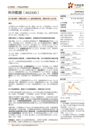 双子星战略!智慧电能与IDC服务稳健发展,储能业务大步向前