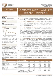 东鹏饮料季报点评：22Q1营收韧性增长，利润端承压