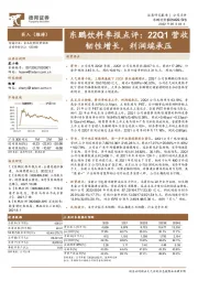 东鹏饮料季报点评:22Q1营收韧性增长,利润端承压
