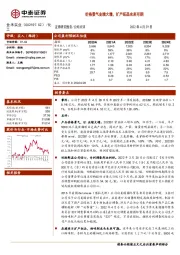 价格景气业绩大增,扩产拓品未来可期