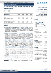 2022年一季报点评:电网龙头平波稳进,Q1业绩表现亮眼