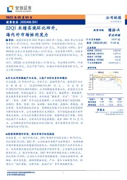 22Q1业绩实现环比回升，海内外市场协同发力