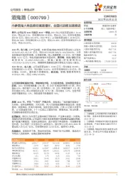 内参酒鬼大单品推动高速增长，全国化进程加速推进