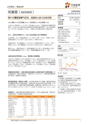 乘户外露营高景气东风，品牌发力放大先发优势