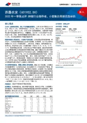 2022年一季报点评:种植行业领导者，小麦粮价周期优选标的