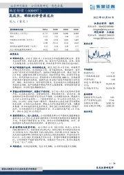 高成长、稀缺的锌资源龙头