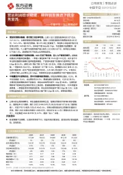 中国平安1Q22季报点评:营运利润增长稳健,期待转型推进下的业务复苏