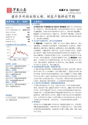 量价齐升助业绩大增,锂盐产能释放可期