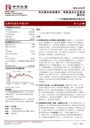 年报点评：风光装机快速增长，新能源龙头发展持续向好