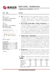 公司简评报告：麻醉药平稳增长，归核聚焦稳步推进