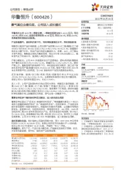 景气高位业绩兑现,公司进入成长模式