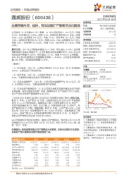 业绩持续向好，硅料、电池加速扩产继续专业化路线