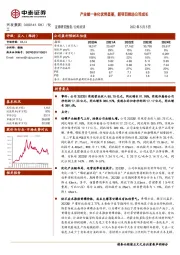 产业链一体化优势显著,新项目推动公司成长