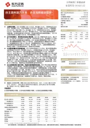 自主盈利能力改善，合资品牌稳定增长