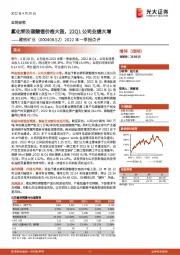 2022年一季报点评：氯化钾及碳酸锂价格大涨，22Q1公司业绩大增