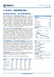 渠道转型业绩承压,新品战略持续推进