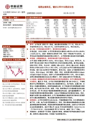 短期业绩承压，看好公司中长期成长性