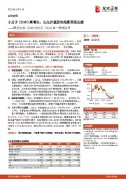 2022年一季报点评：小分子CDMO高增长，公允价值变动拖累表观业绩