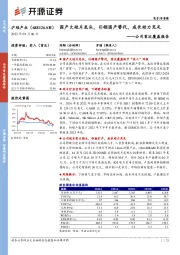 公司首次覆盖报告：国产大硅片龙头，引领国产替代，成长动力充足
