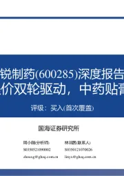 深度报告：市占率提升+提价双轮驱动，中药贴膏龙头稳健前行