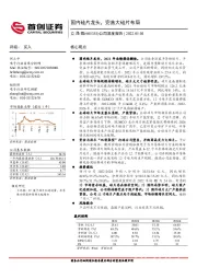 公司深度报告：国内硅片龙头，完善大硅片布局