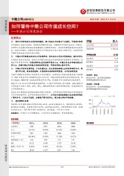 中微公司深度报告:如何看待中微公司市值成长空间?
