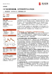 跟踪报告之四：CMP抛光垫快速放量，向半导体材料平台公司迈进